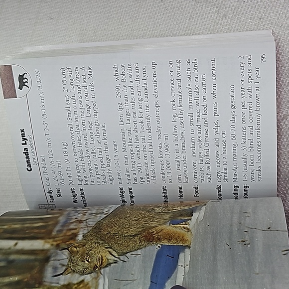 3/$10  Mammals of Colorado Field Guide - Picture 9 of 10